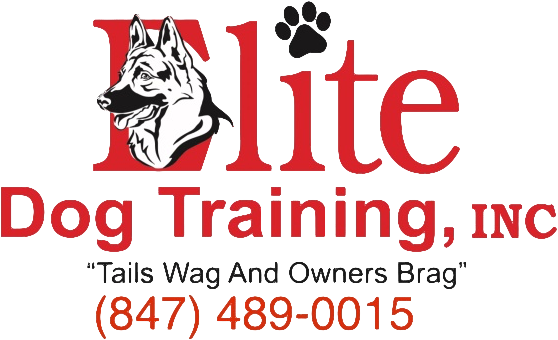 Elite Training Logo w/ contact