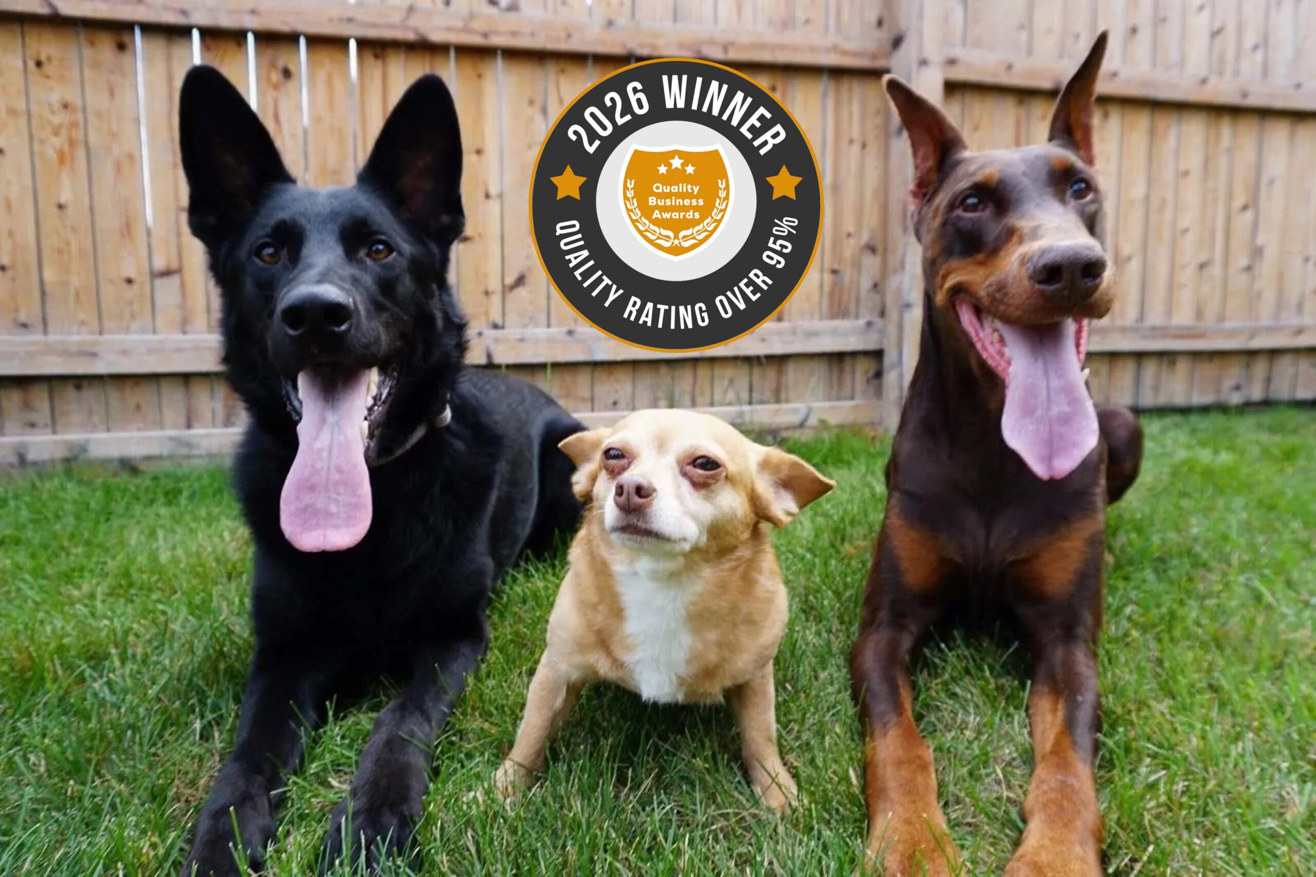 Awarded Best Dog Trainer in Highland Park Illinois