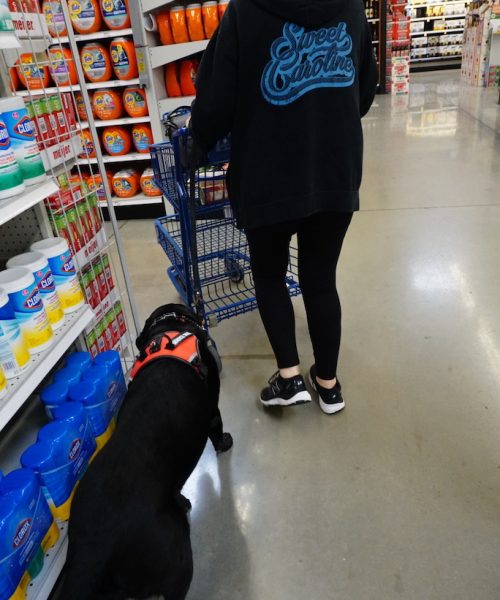 a woman with a dog in a store